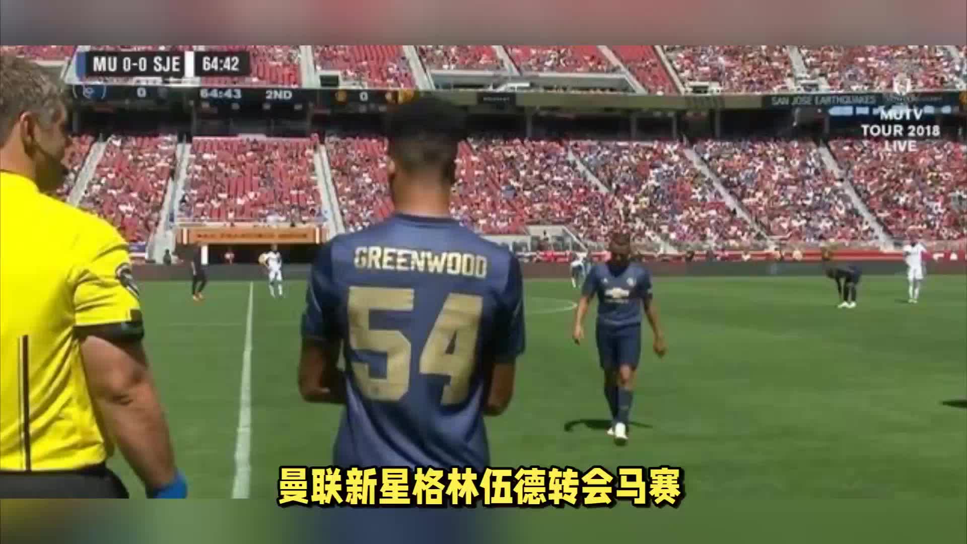 能是